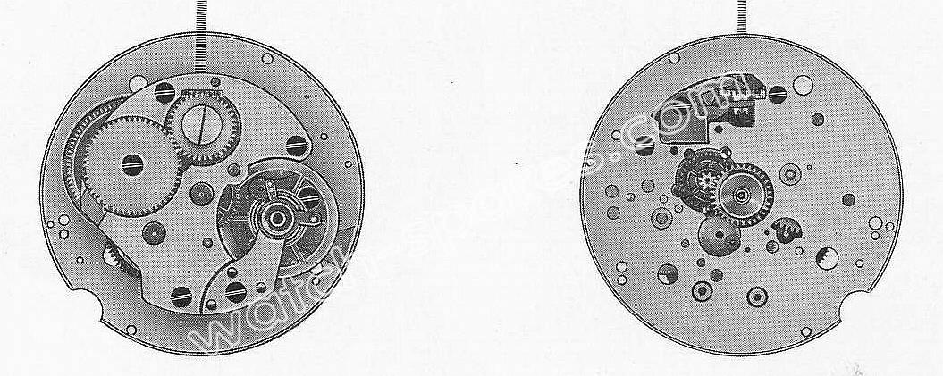 Baumgartner BFG 582 13 5 watch movements Baumgartner BFG 582 13 5 watch movements