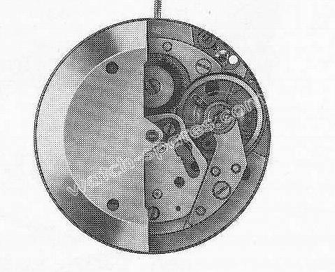 Baumgartner BFG 628 watch movements Baumgartner BFG 628 watch movements